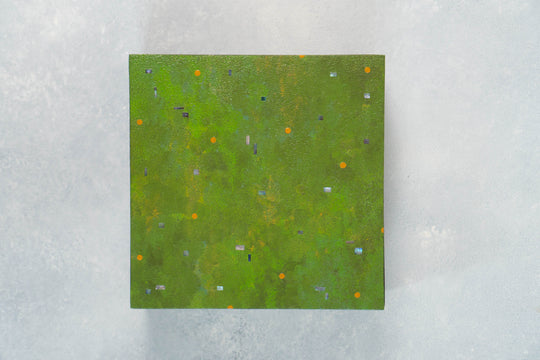 Forest Hap (lunch box)