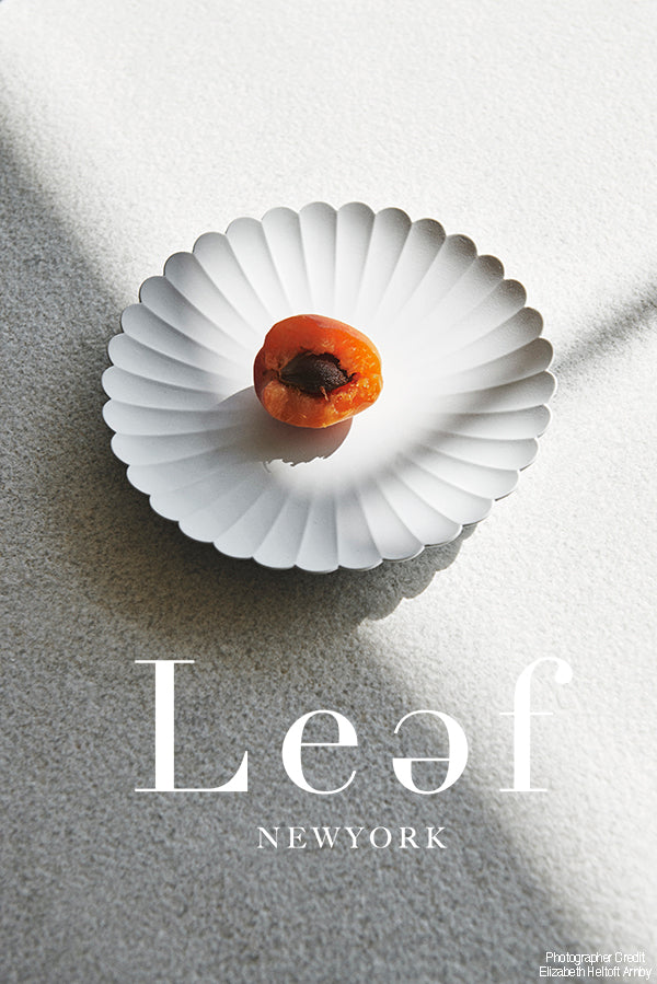 [1616 / Arita Japan] TY Palace - Salad / Dessert Plate 160 - Leef NYC -1616 / arita japan