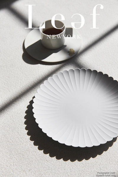 [1616 Arita] TY Palace -Dinner Plate 220 - Leef NYC -1616 / arita japan