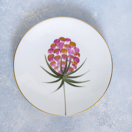 [Pre-Order] Belle De Jour Collection