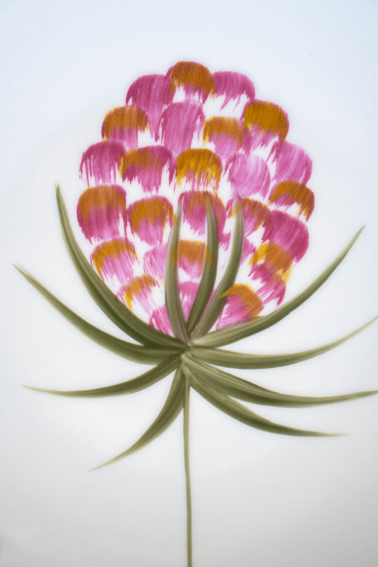 [Pre-Order] Belle De Jour Collection