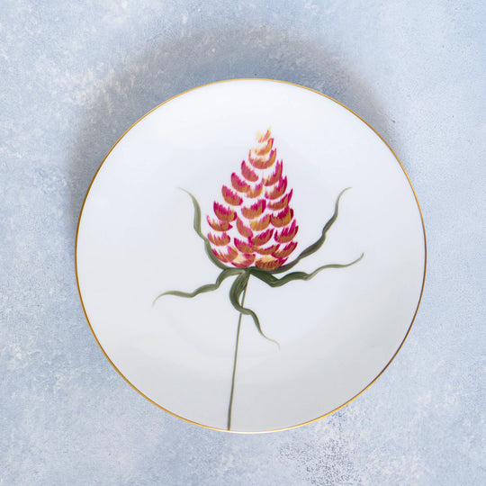 [Pre-Order] Belle De Jour Collection