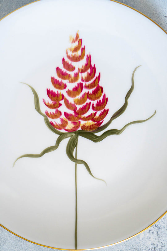 [Pre-Order] Belle De Jour Collection