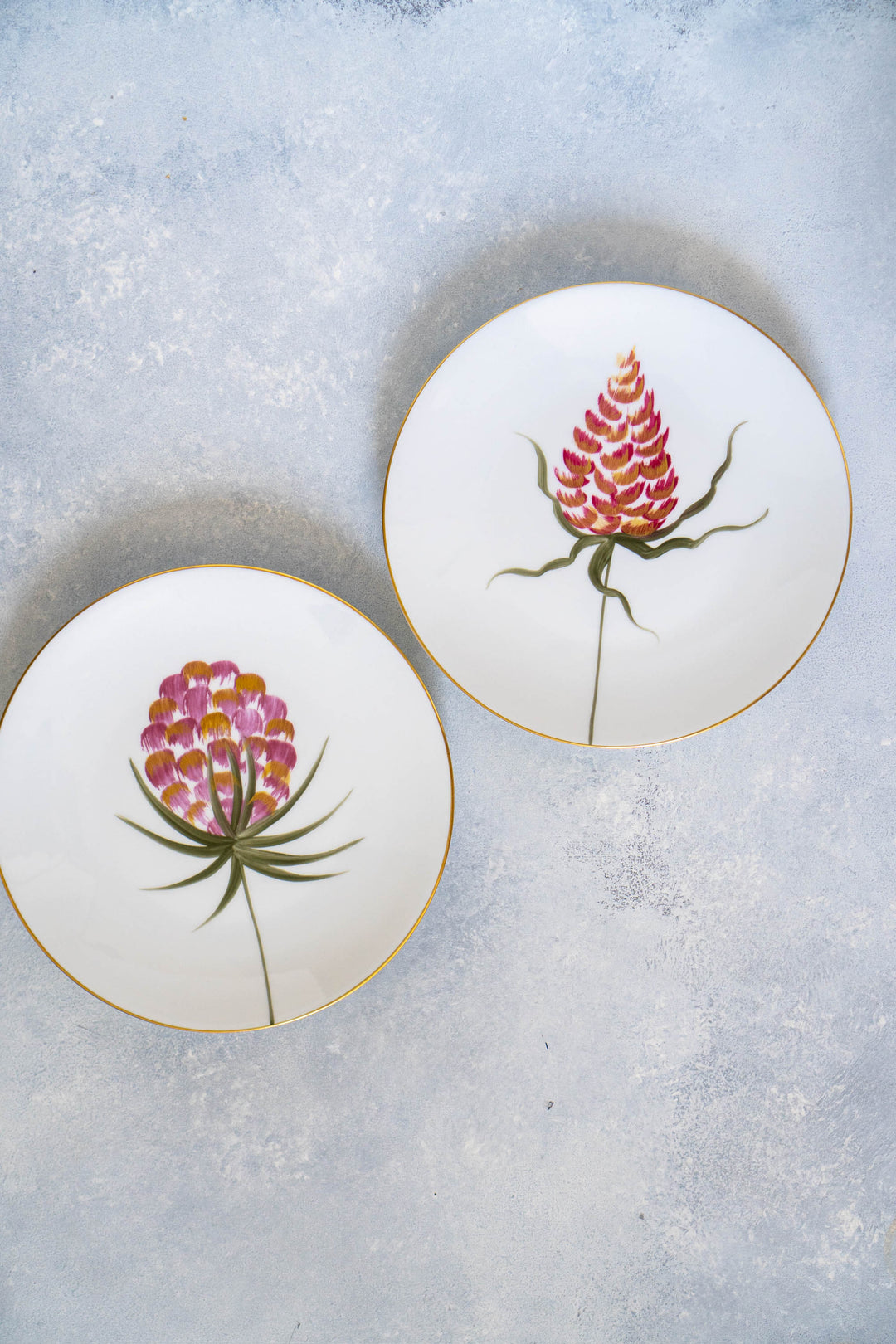 [Pre-Order] Belle De Jour Collection