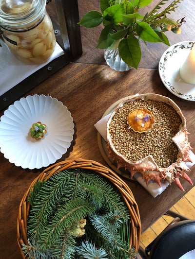 [1616 / Arita Japan] TY Palace - Salad / Dessert Plate 160