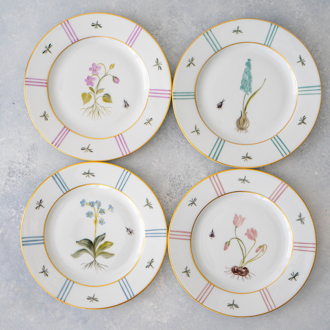 Botaniqu Salad Plate