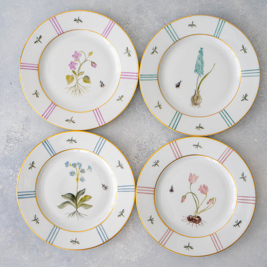 Botaniqu Salad Plate