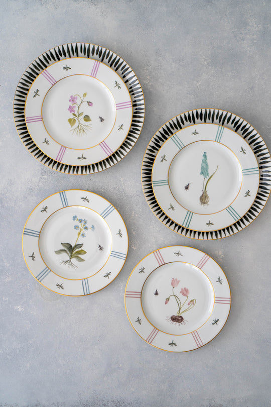 Botaniqu Salad Plate