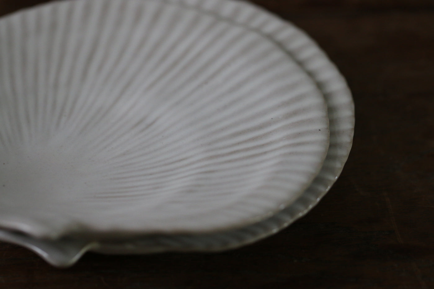 Scallop Shell Plate – Leef NYC