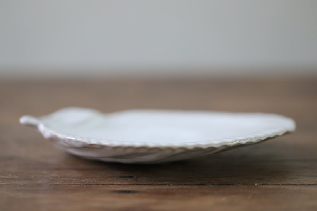 Scallop Shell Plate