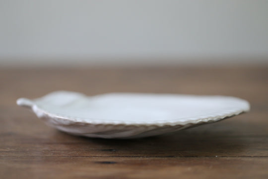 Scallop Shell Plate