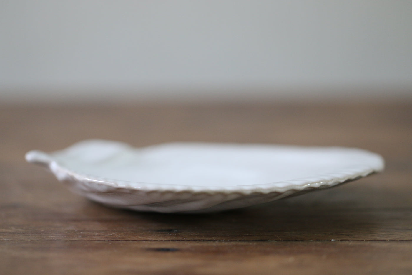 Scallop Shell Plate – Leef NYC