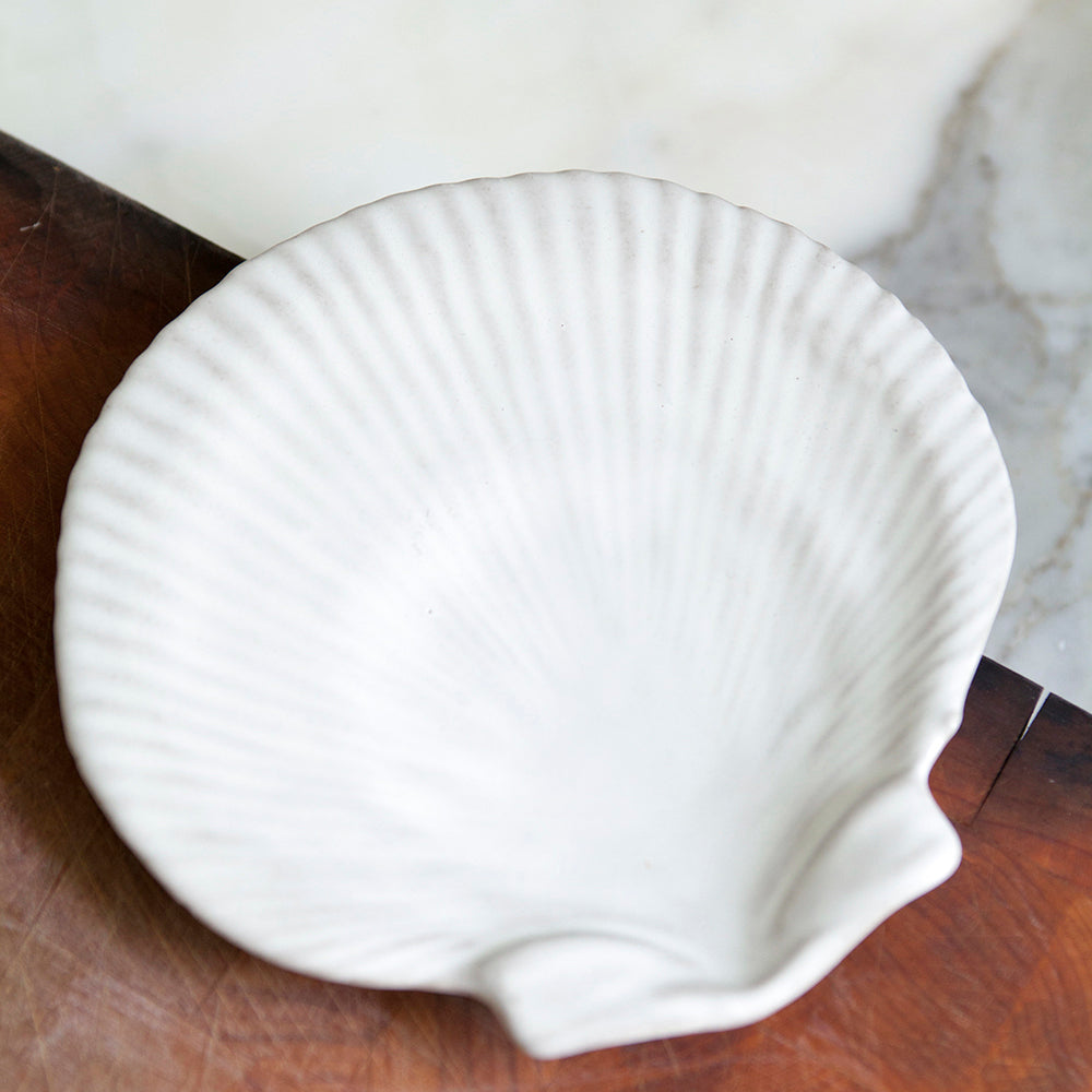 Scallop Shell Plate – Leef NYC